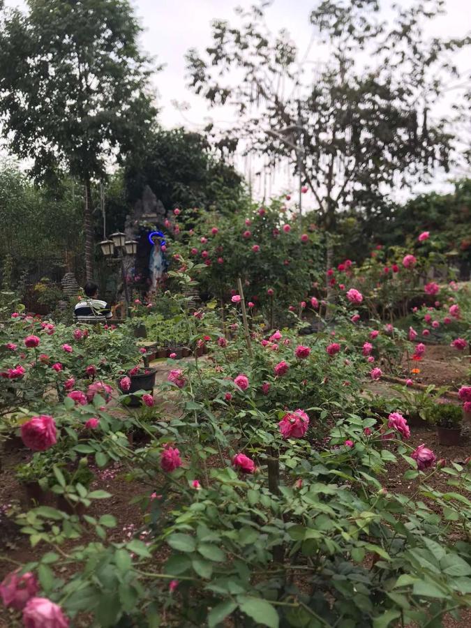 Family Garden House At Tri An Lake, Dong Nai Phu Cuong Buitenkant foto